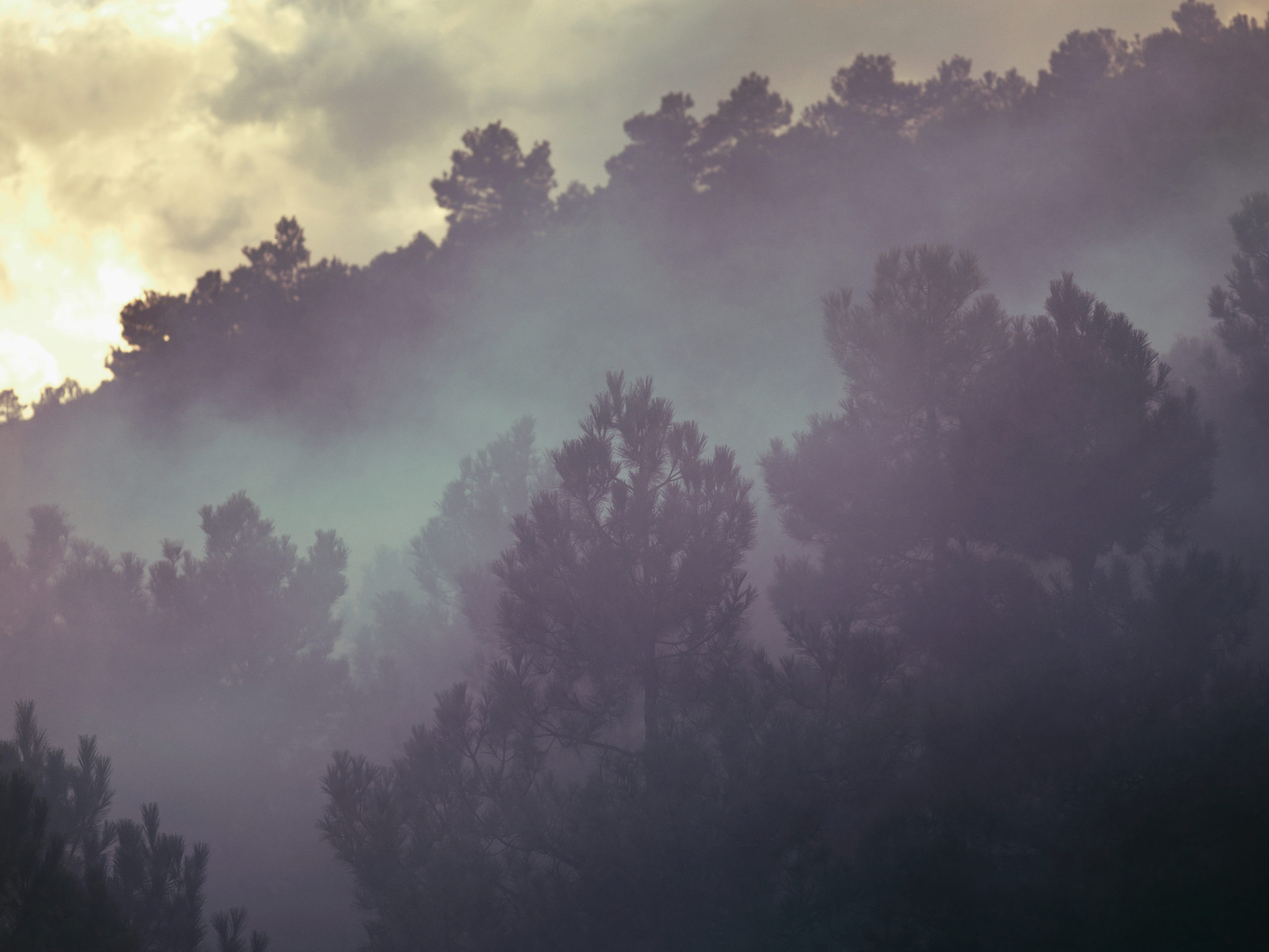 Jenny Cremer - Anke Luckmann – Farben