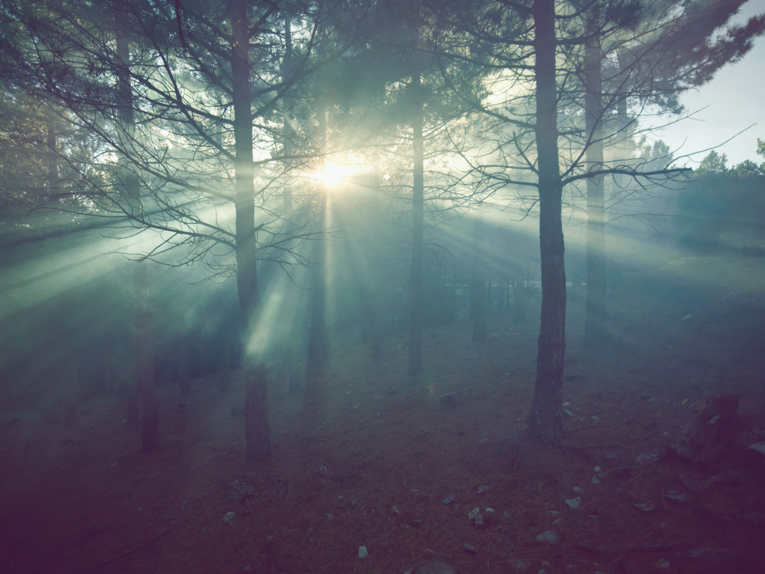 Jenny Cremer - Anke Luckmann – Farben - Work