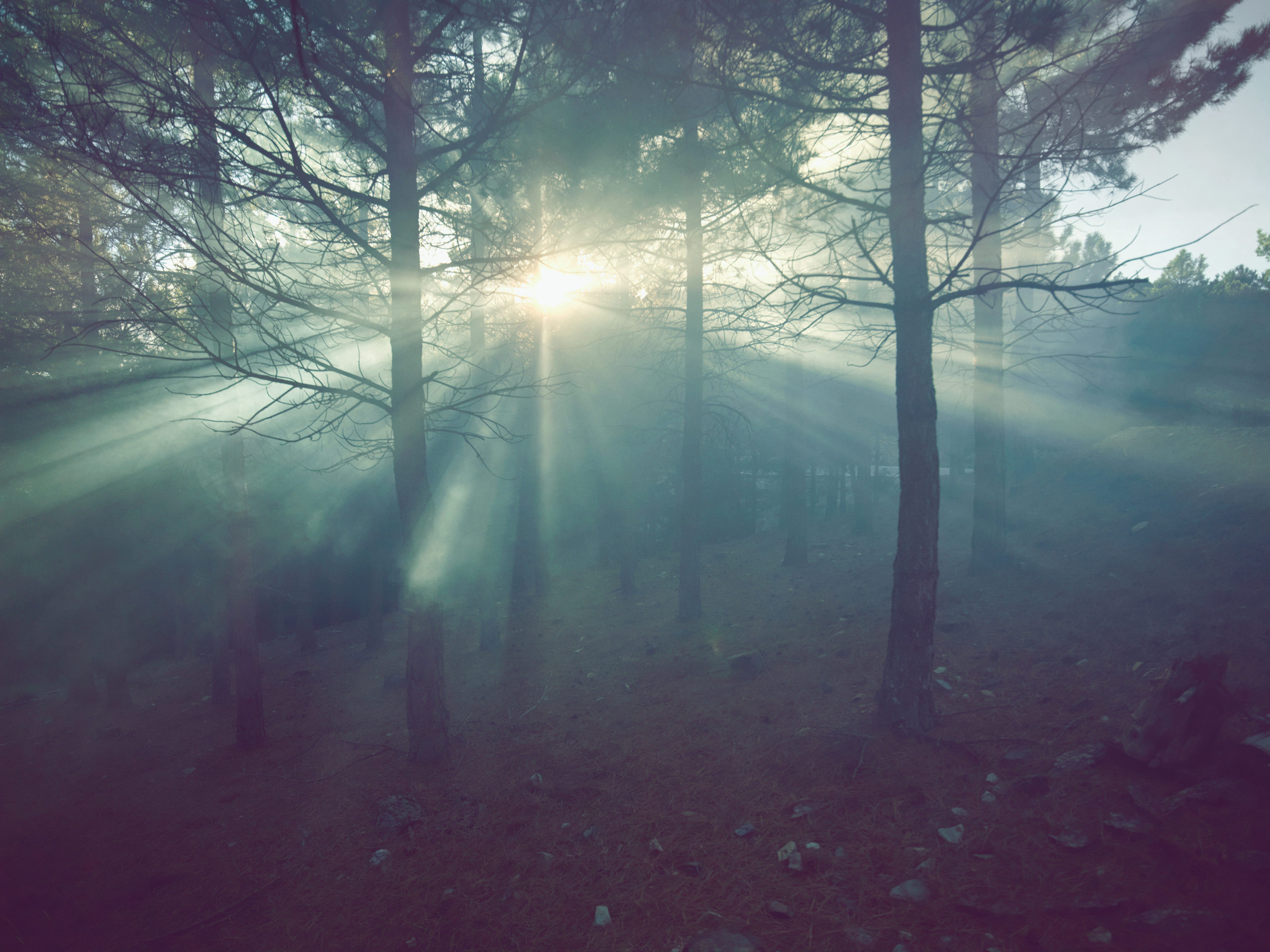 Jenny Cremer - Anke Luckmann – Farben