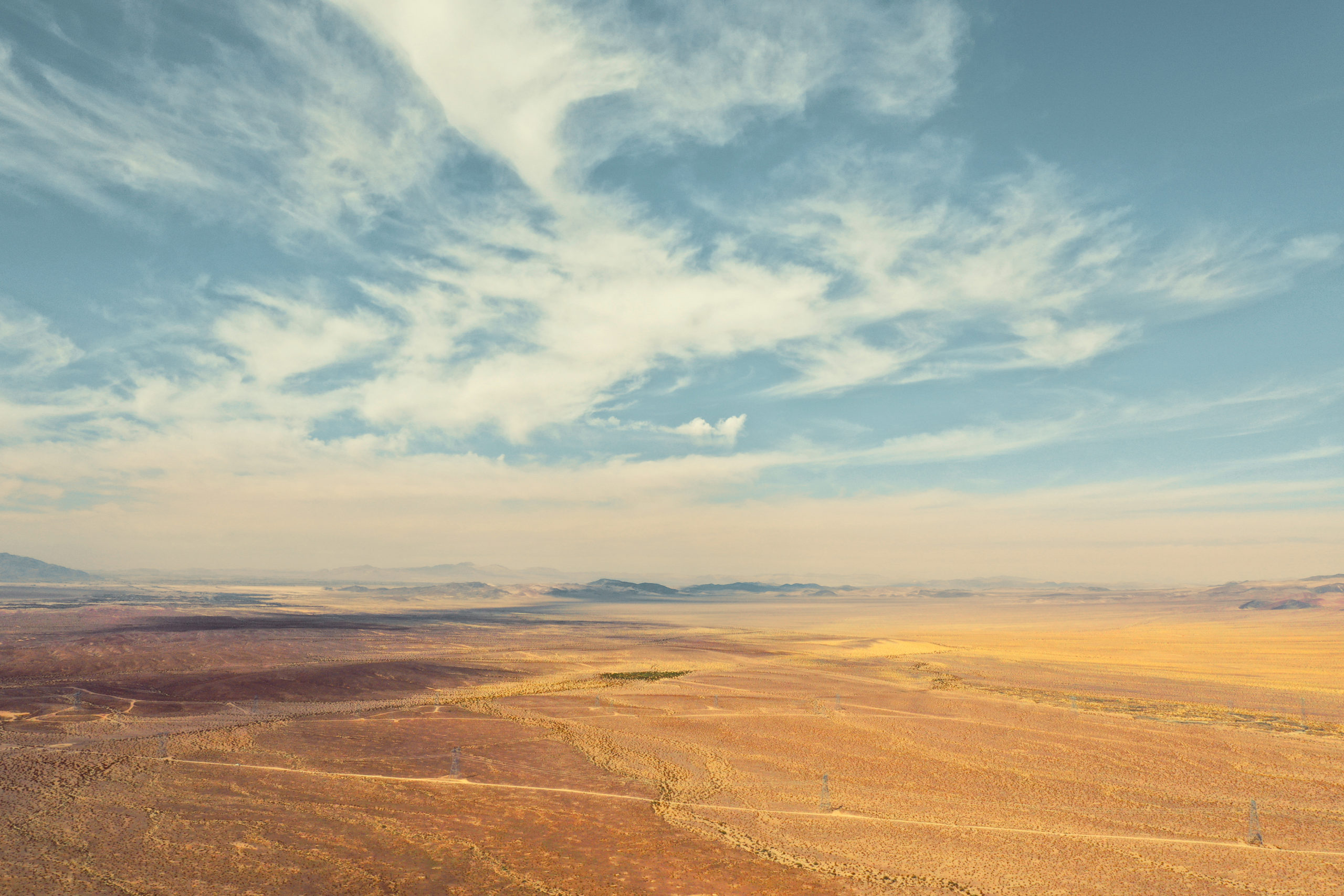 Jenny Cremer - Eik Hentschke – Desert Cat