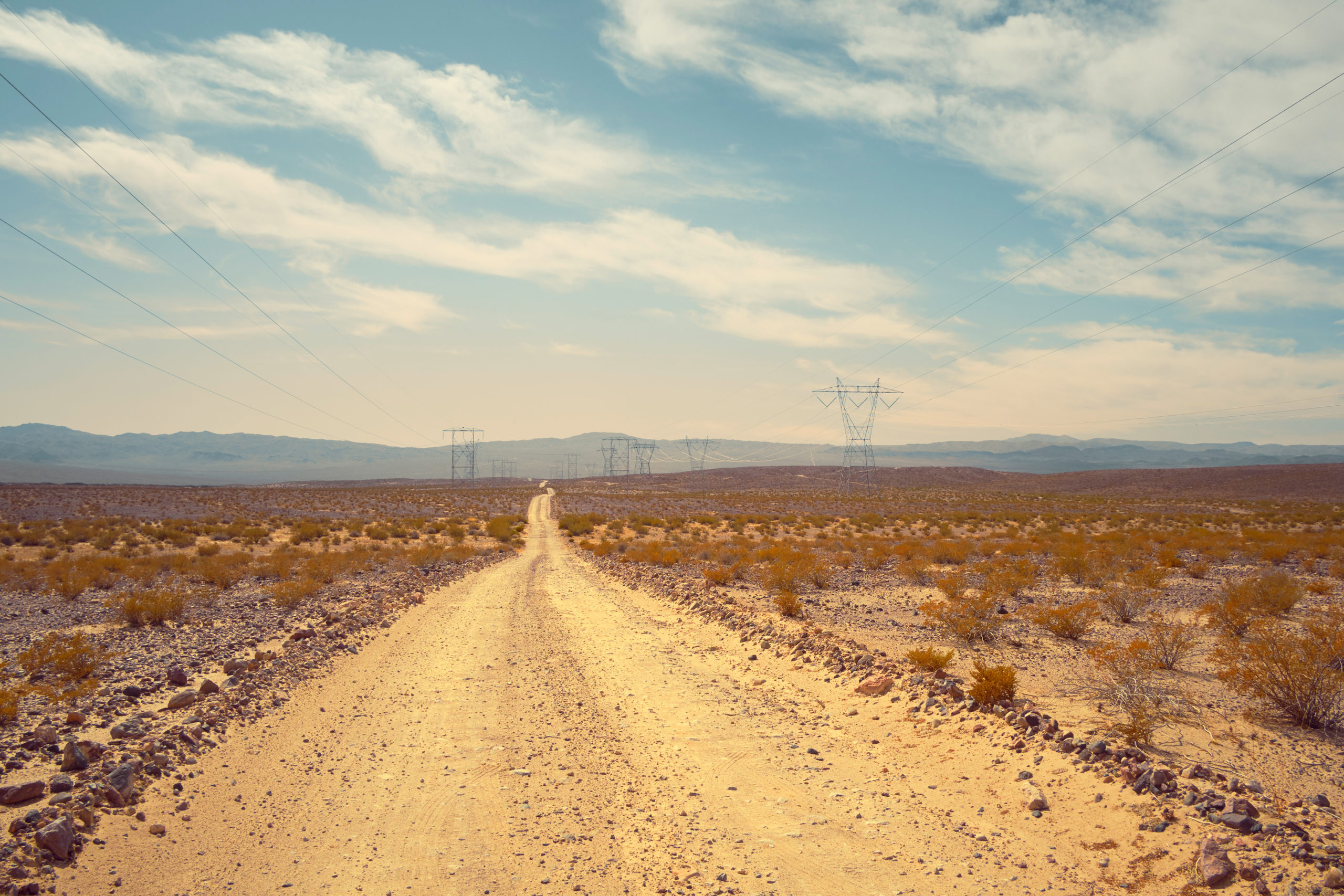 Jenny Cremer - Eik Hentschke – Desert Cat