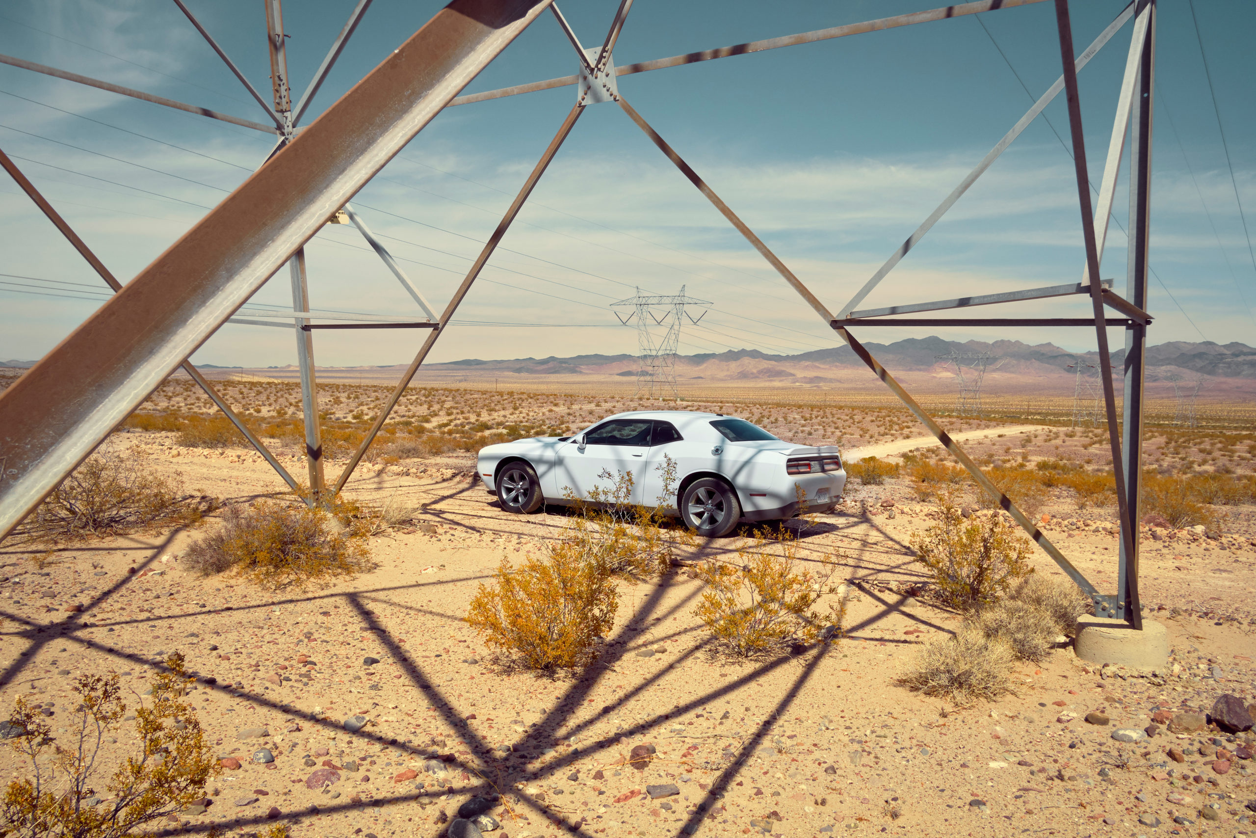 Jenny Cremer - Eik Hentschke – Desert Cat