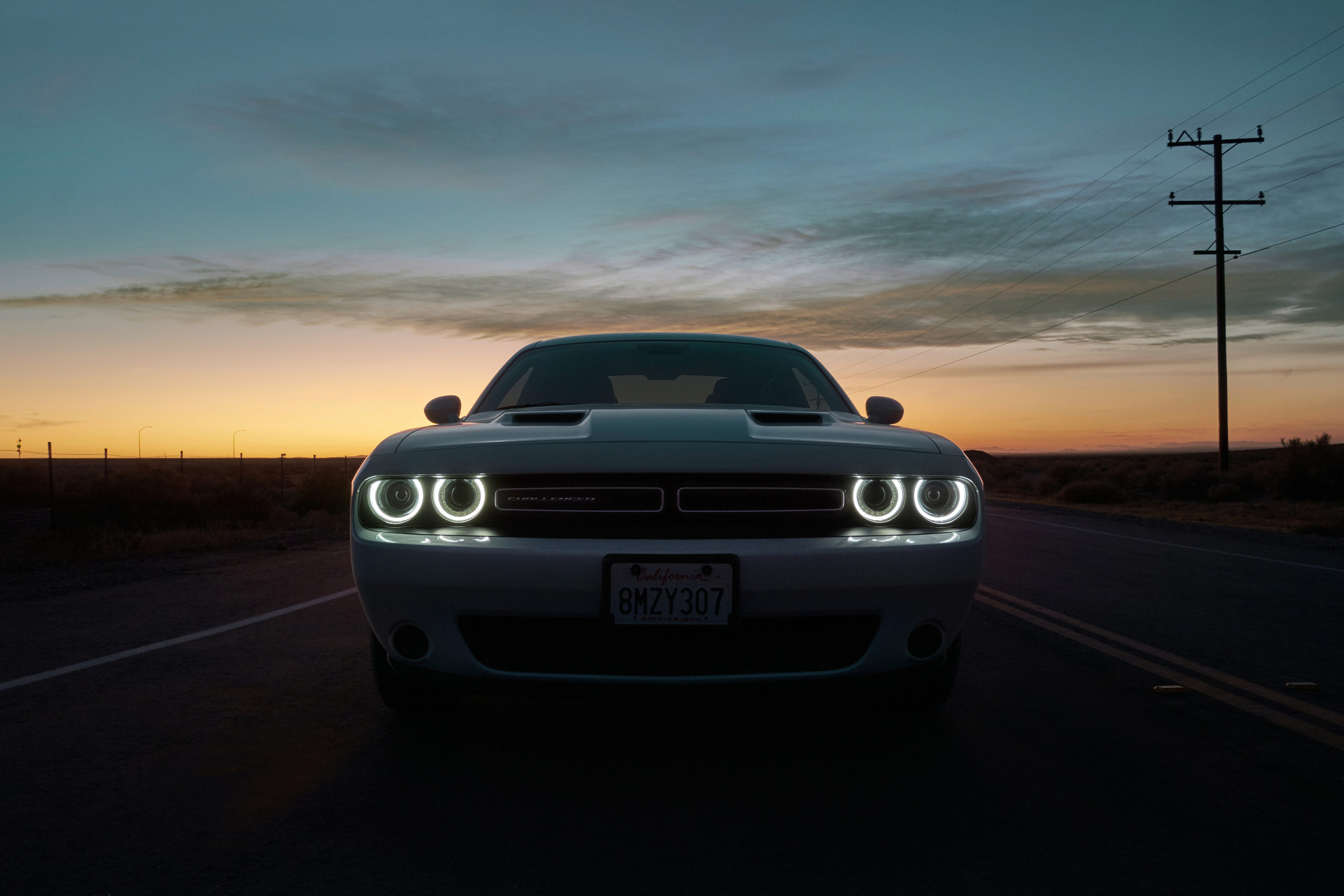 Jenny Cremer - Eik Hentschke – Desert Cat