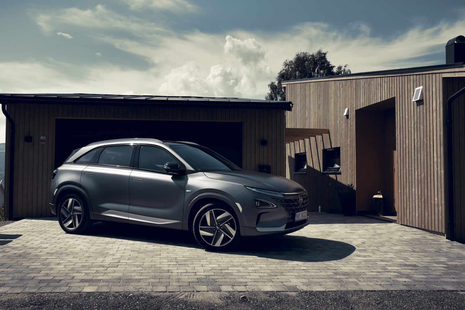 Jenny Cremer - Jan Friese – Golden Hour - Work