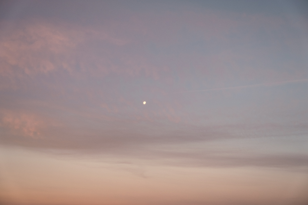 Jenny Cremer - Julius Hirtzberger – BMW