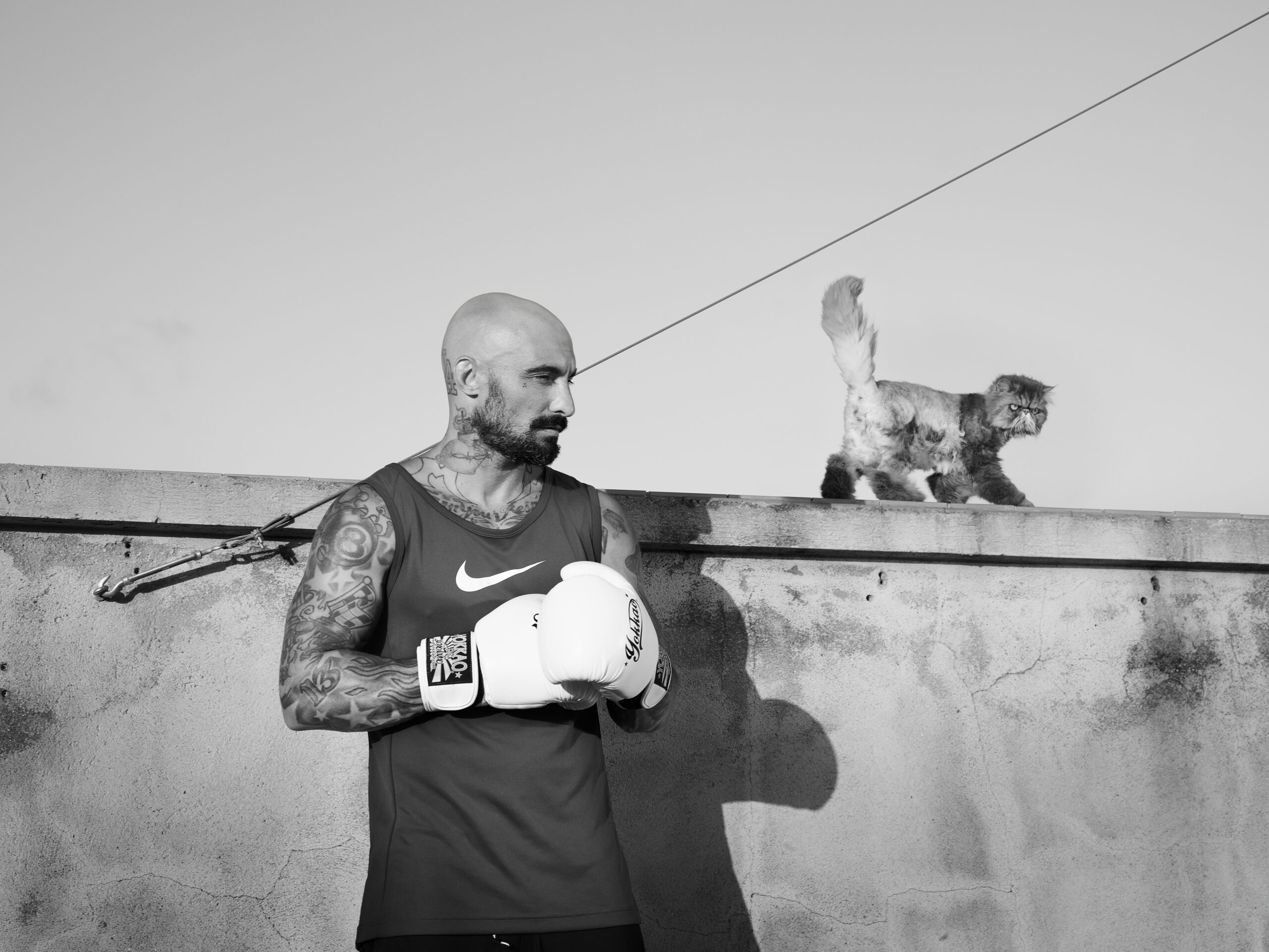 Jenny Cremer - Anke Luckmann – Alfredo