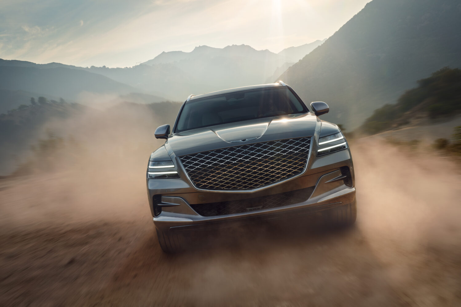 Jenny Cremer - Patrick Curtet – Genesis 2 - Work