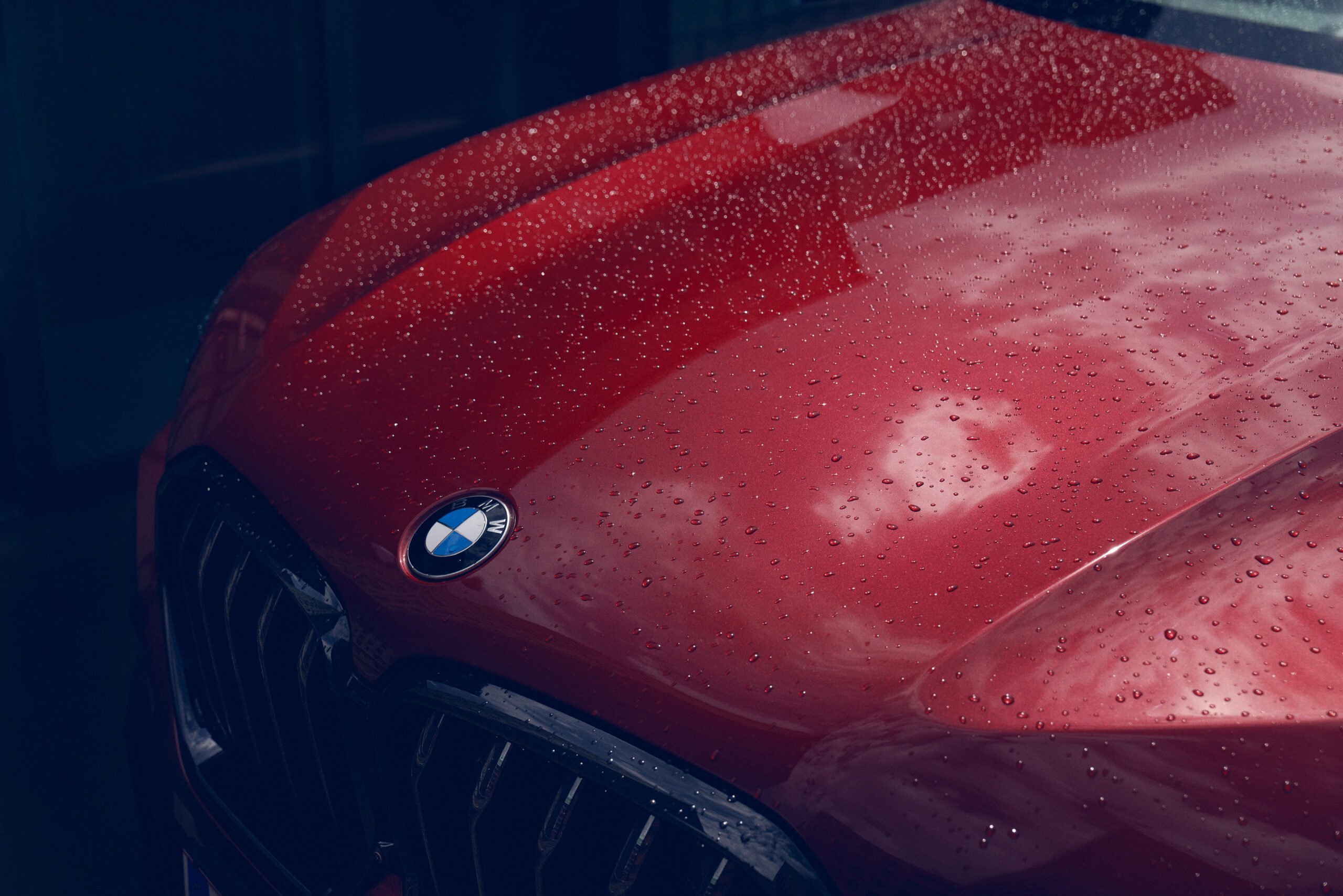 Jenny Cremer - Andreas Hempel – Hankook