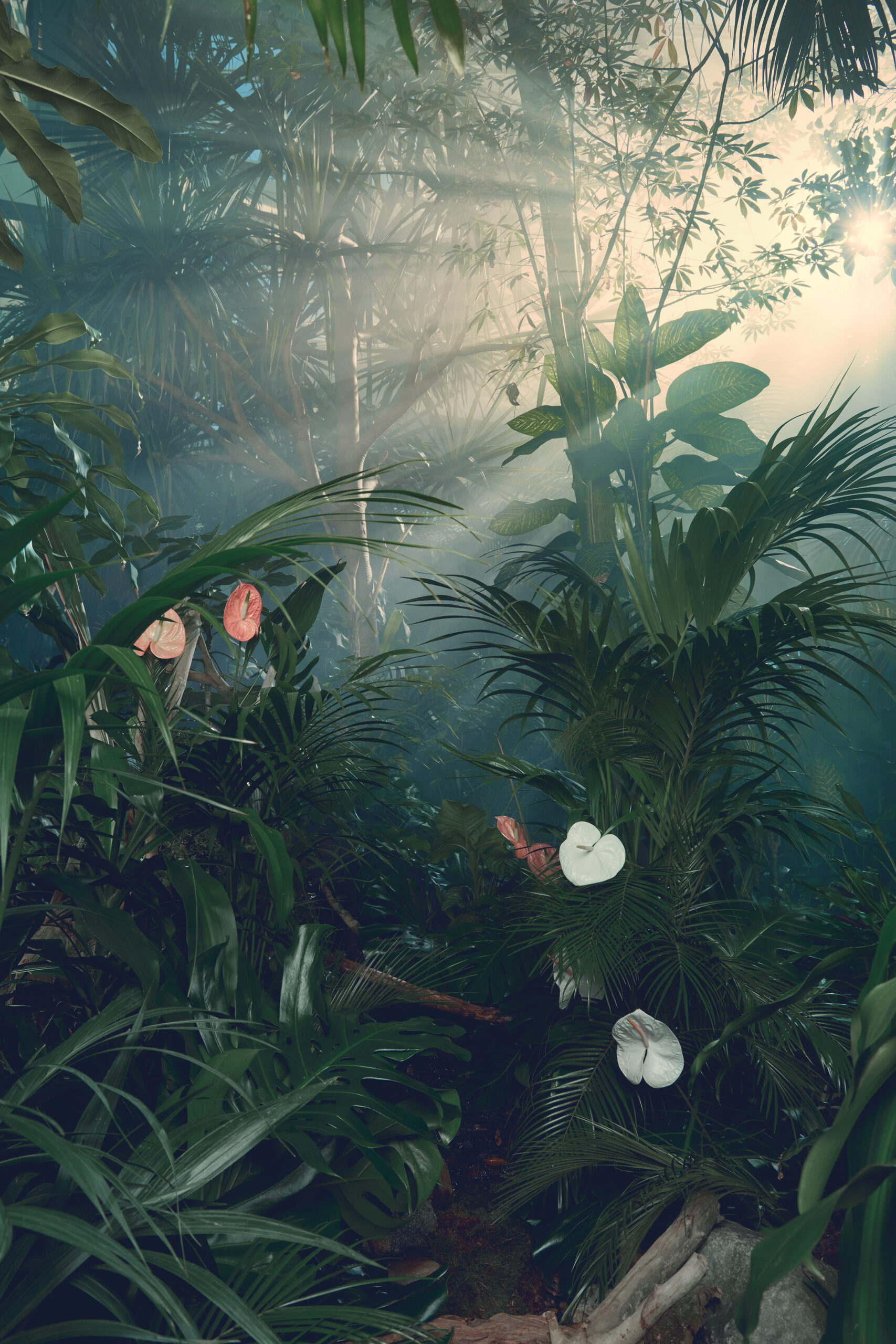 Jenny Cremer - Kasette – Womanizer