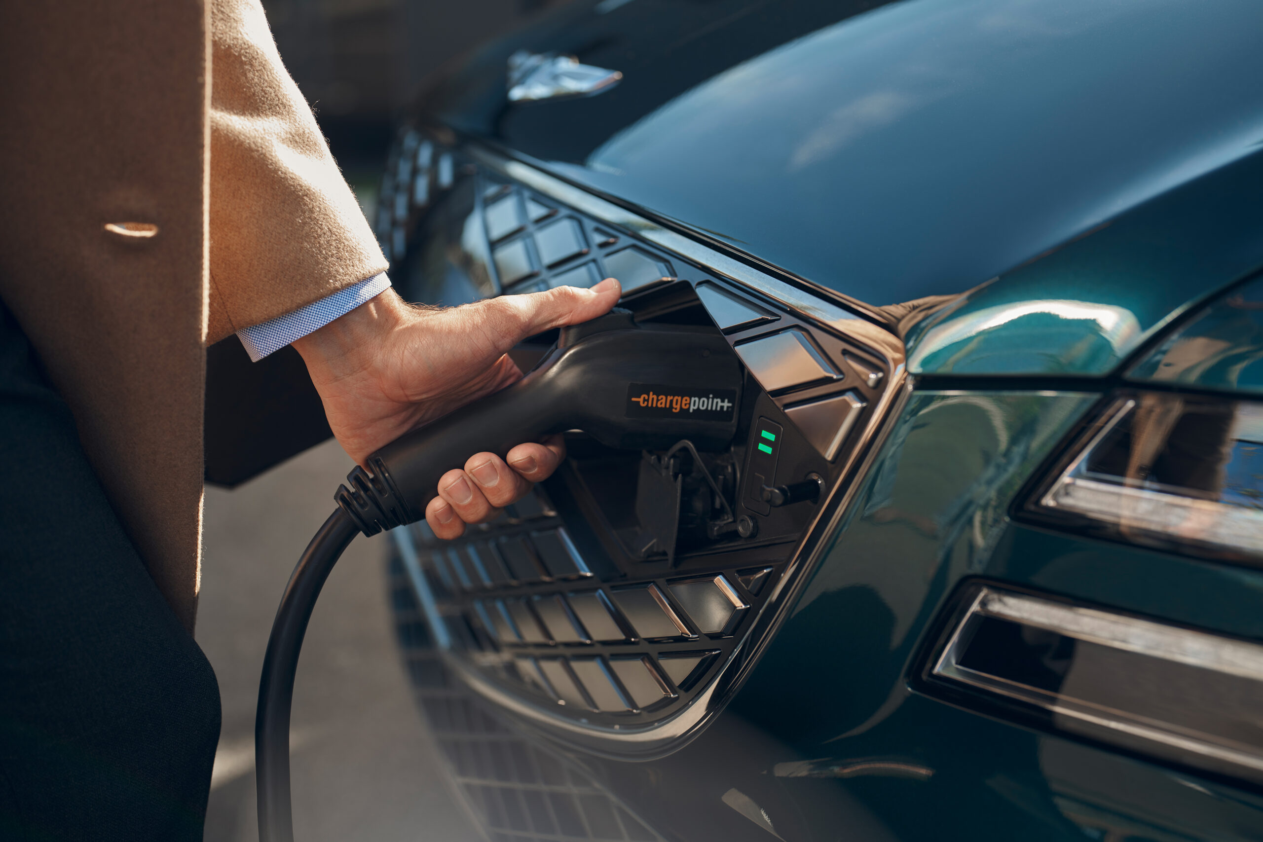 Jenny Cremer - Curtet – Genesis 3